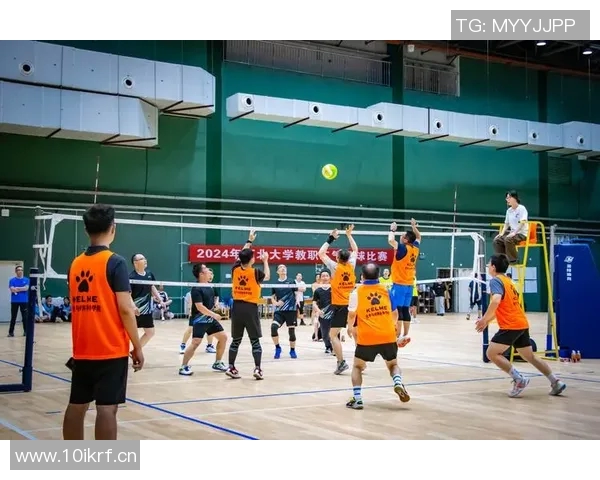 成都排球队的默契配合与战术探讨聚焦排球的团队精神与协作能力